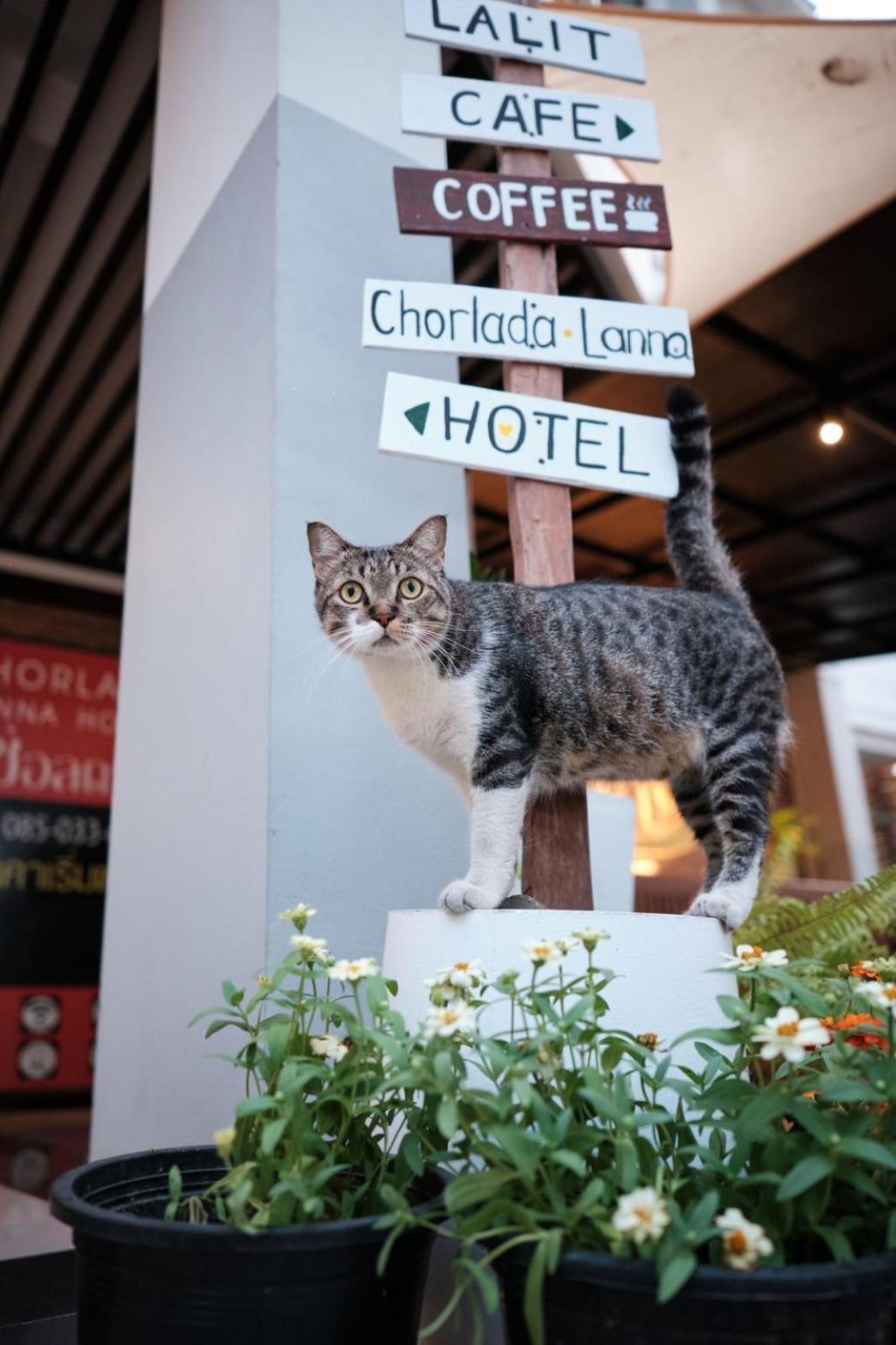 Chorlada Lanna Hotel Чиангмай Екстериор снимка
